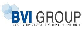 BVI Group